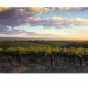 Panoramic prints of McLaren Vale South Australia by David Evans are on display in the Angoves Cellar Door. Prints for the home.