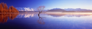 Lake Wanaka, New Zealand. Famous landscape photography including images of New Zealand. Choose prints for the home in the online photo gallery.